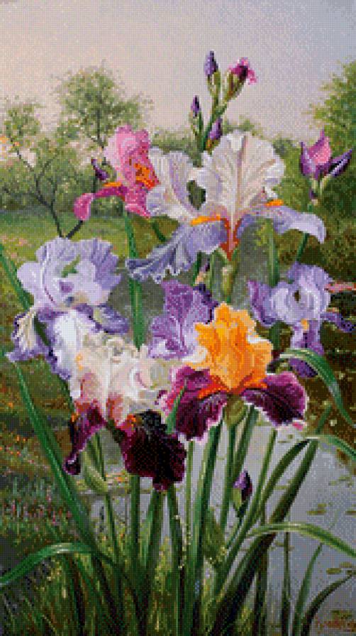 цветы - картина цветы - предпросмотр