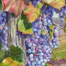 Схема вышивки «виноград»