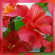 Схема вышивки «№594582»