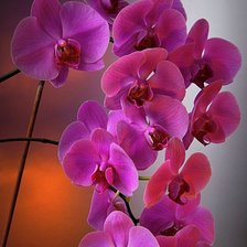 Схема вышивки «123»