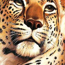 Схема вышивки «Леопард»