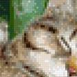 Предпросмотр схемы вышивки «пристроились» (№594760)