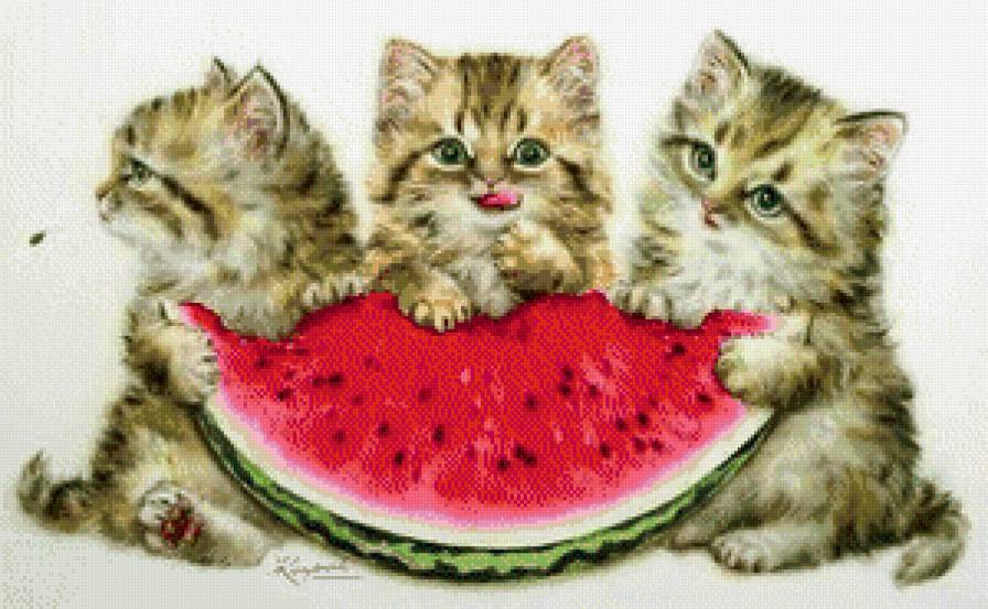 котята и арбуз - арбуз, котята - предпросмотр