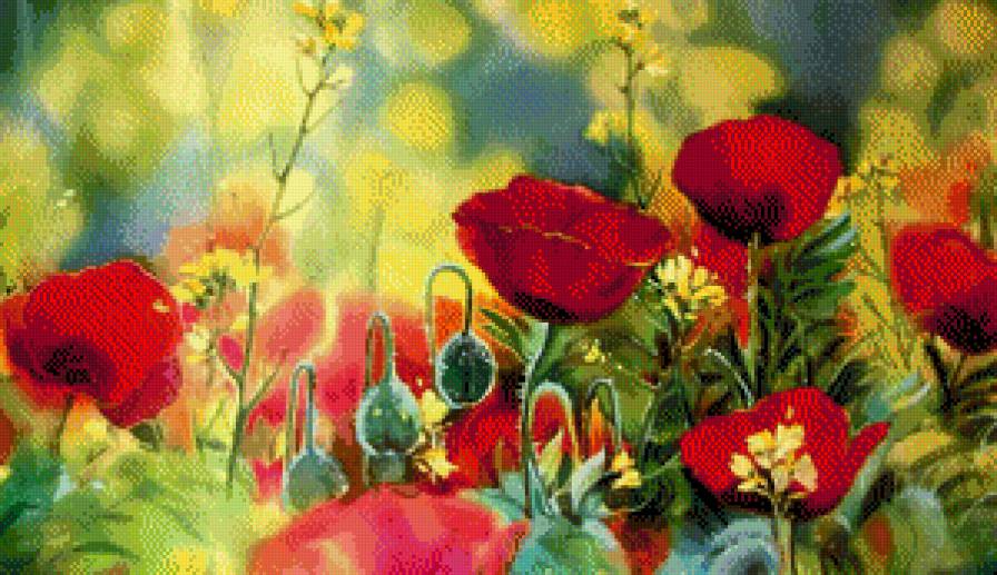 Маки. - цветы, живопись., маки - предпросмотр