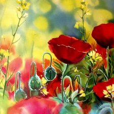 Схема вышивки «Маки.»