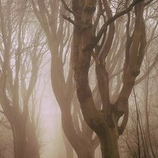 великобритания