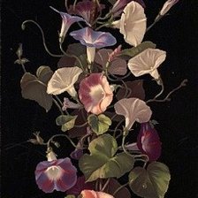 Схема вышивки «цветочки»