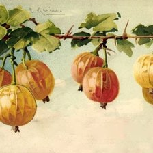 Схема вышивки «акварель»