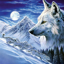 Схема вышивки «Волк»