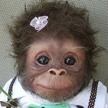 Схема вышивки «обезьянка»