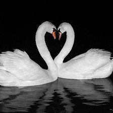 Схема вышивки «12»