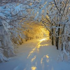 Схема вышивки «дорога к свету»