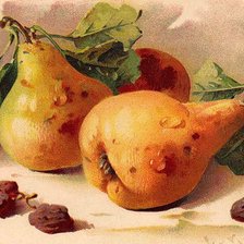 Схема вышивки «натюрморт»