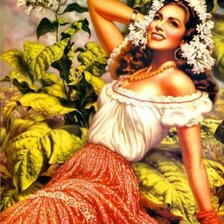 Схема вышивки «красавица испанка»