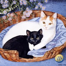 Котики в корзинке