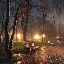 сквер ночью