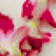 Предпросмотр схемы вышивки «Унисон сердец.» (№595868)