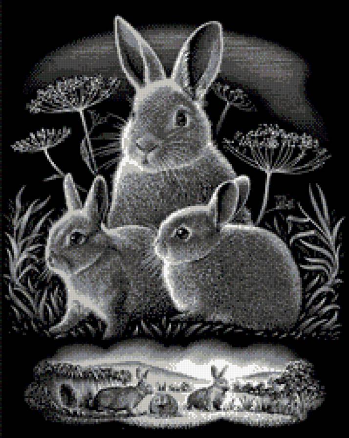 кролики монохром - зайчик, чорнобелое, монохром, кролик - предпросмотр