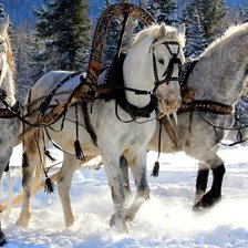 Схема вышивки «три белых коня»