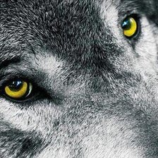 Схема вышивки «волчьи глаза»