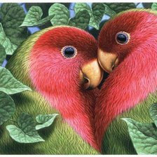 Схема вышивки «попугайчики»