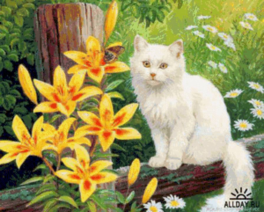 знакомство - бабочка, котики, цветы - предпросмотр