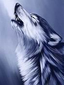 Схема вышивки «Полнолуние»