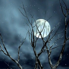 Схема вышивки «Лунная ночь»