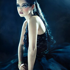 Схема вышивки «чёрный лебедь»