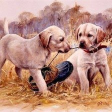 Схема вышивки «№596436»