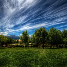 Схема вышивки «Летняя природа»