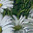 Предпросмотр схемы вышивки «Ромашки» (№596512)
