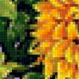 Предпросмотр схемы вышивки «Подсолнухи» (№596516)