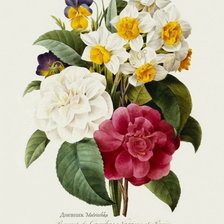 Схема вышивки «Букет»