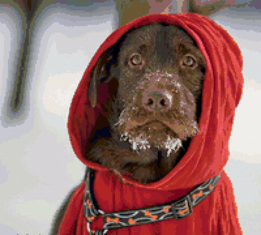 пес-кардинал - забавные животные, животные, зима - предпросмотр