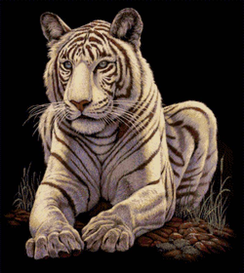 Тигр2 - тигр2 - предпросмотр