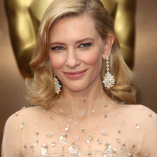 Схема вышивки «Кэйт Бланшет»