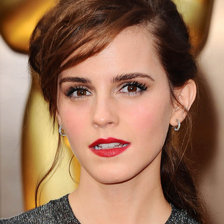 Схема вышивки «Эмма Уотсон»