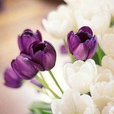 Схема вышивки «№596943»