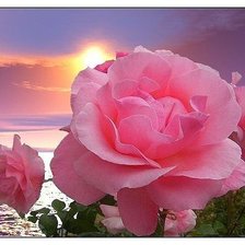 Схема вышивки «№596948»