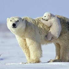 Схема вышивки «семья»