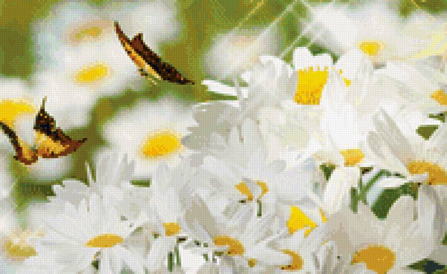 полет в цветах - бабочки, цветы, ромашки - предпросмотр