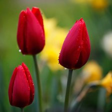 Схема вышивки «букетик»