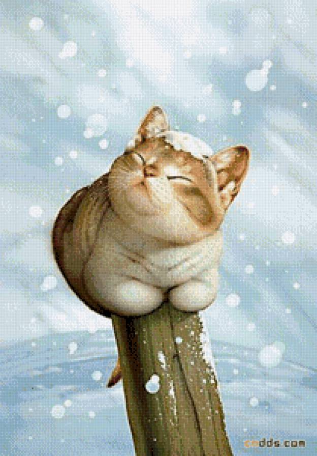 №597153 - предпросмотр