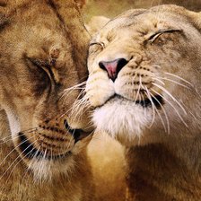 Схема вышивки «Любовь»