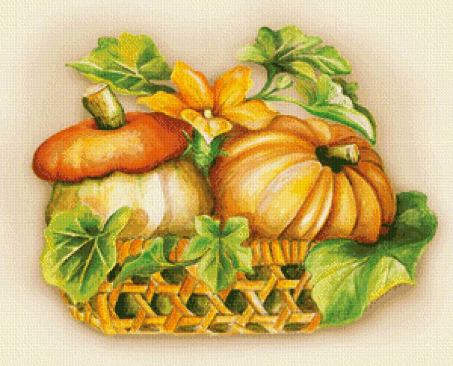 Натюрморт с тыквой - овощи, натюрморт - предпросмотр