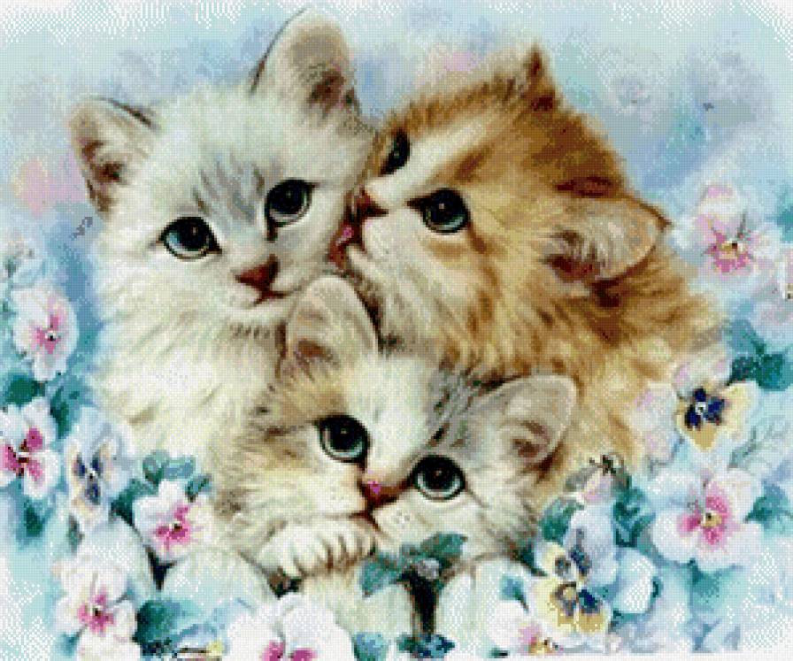 Котики в цветах - животные, коты - предпросмотр