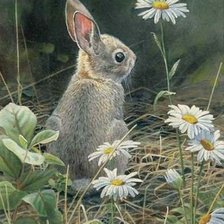 Схема вышивки «зайка»