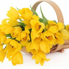 Схема вышивки «букет тульпанов»