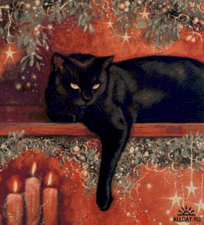 и что там происходит? - котики - предпросмотр